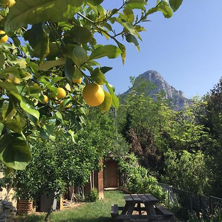 Au Pied Des Baous Bed & Breakfast Vence Eksteriør bilde